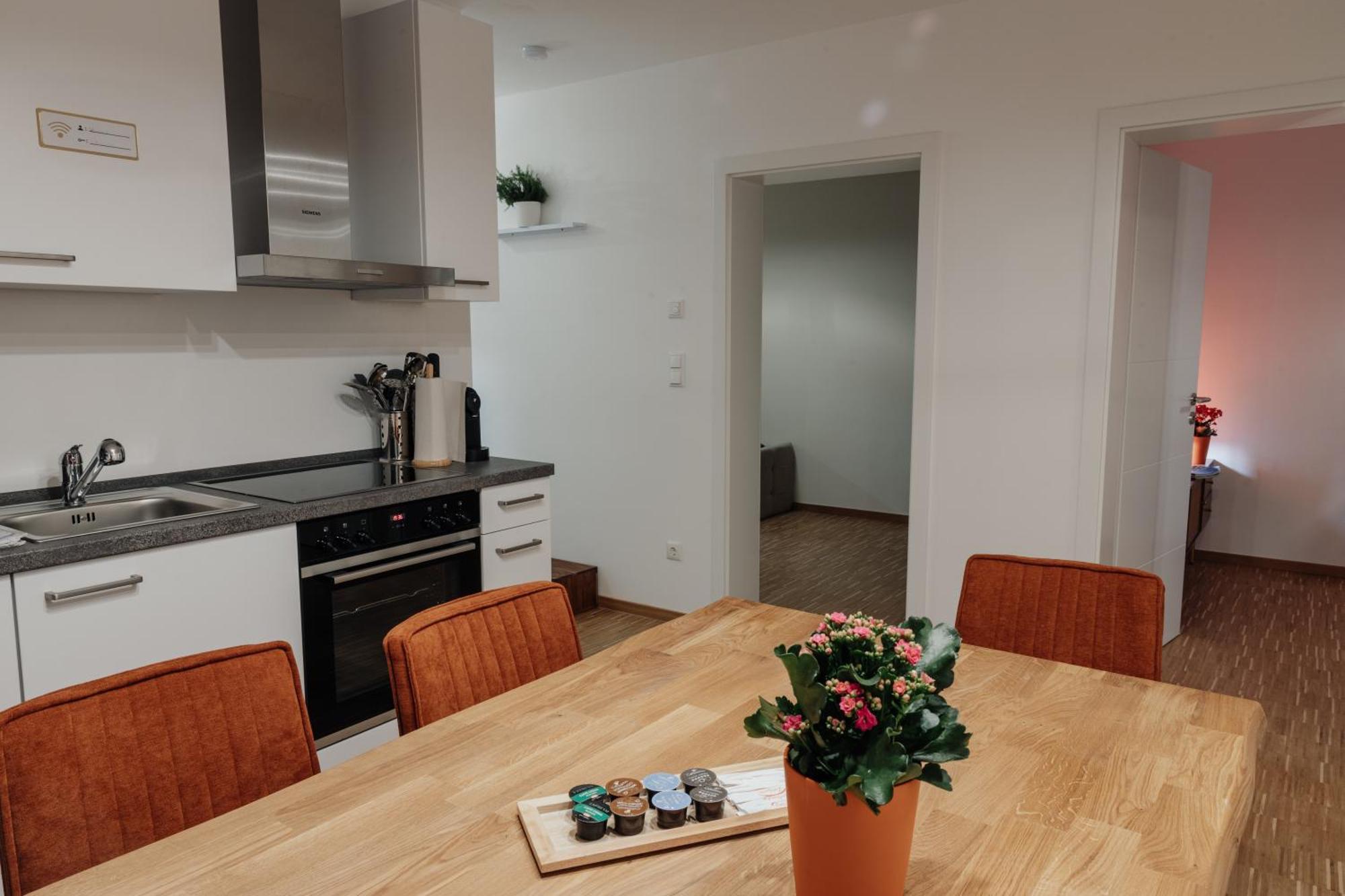 Passaus Motto Appartements! Solo - Paerchen - Familien - Gruppen Ruang foto